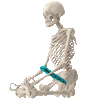 turquoisepythonbonercarcass.gif