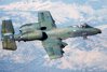 A-10.jpg