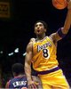 Kobe 8.jpg