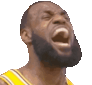lebronnod.gif