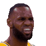 LebronDisgust.gif