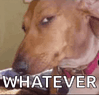 side-eye.gif
